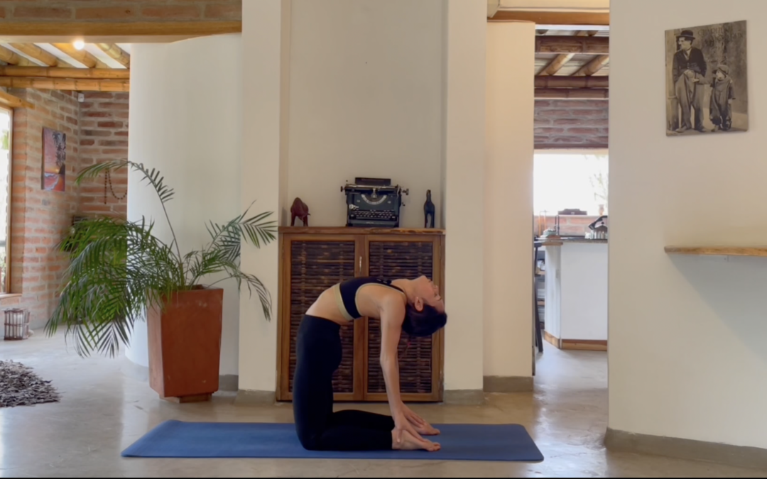 Vinyasa Yoga Apertura de Pecho y Cadera 15 mins
