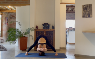 Vinyasa Yoga Apertura de Pecho y Cadera 20 mins