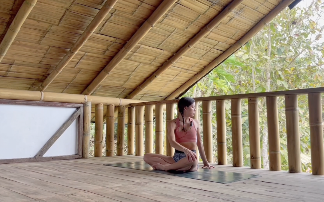 Vinyasa Yoga Espalda Baja 30 mins
