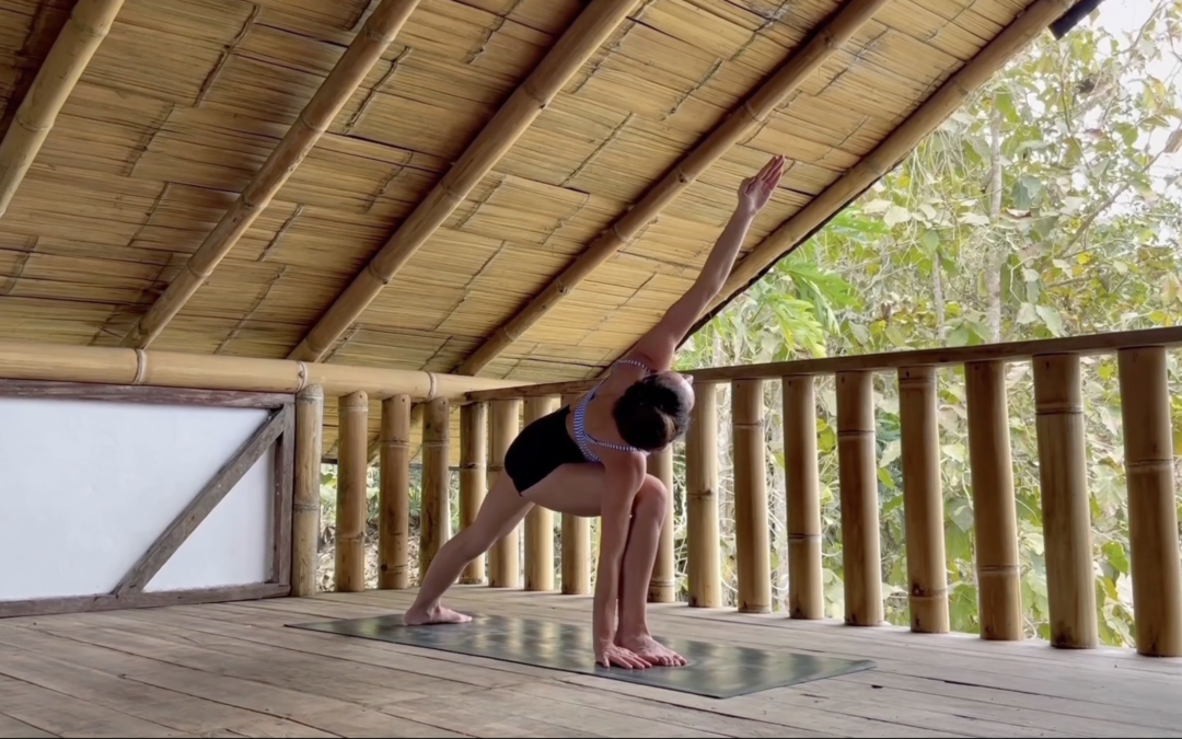 Ashtanga Vinyasa – 50 minutos