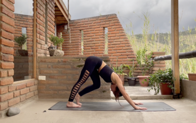 Vinyasa Yoga Guerreros 35 mins