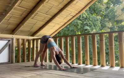 Vinyasa Yoga Comenzando tu día 41 mins