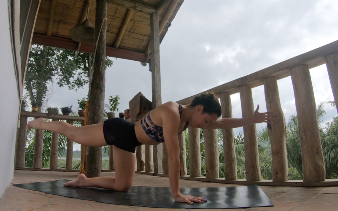 Vinyasa Yoga Espalda 19 mins