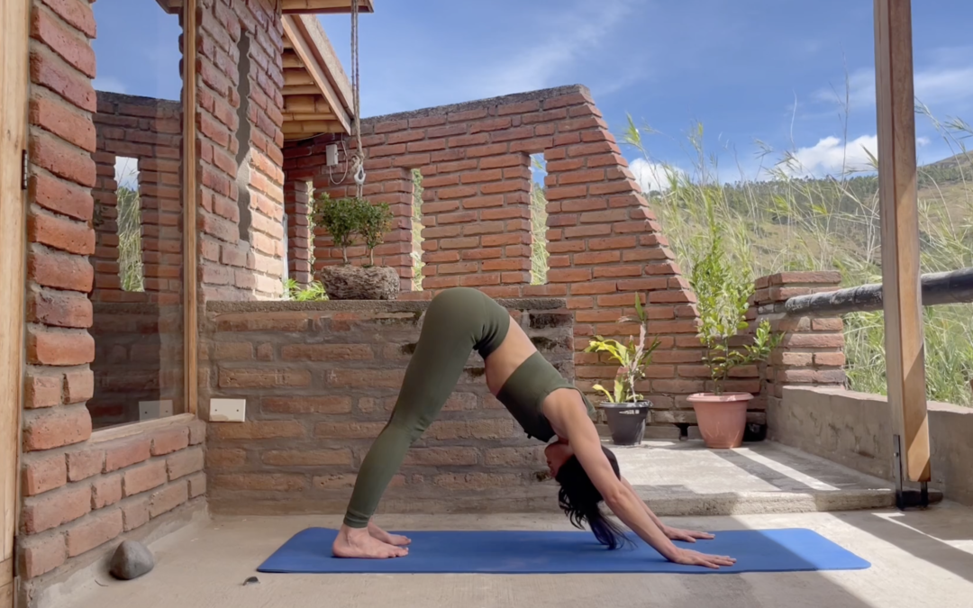 Vinyasa Yoga Abdominales Fuertes 28 mins