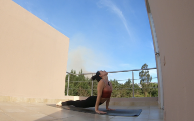 Vinyasa Yoga Todo el cuerpo 30 mins