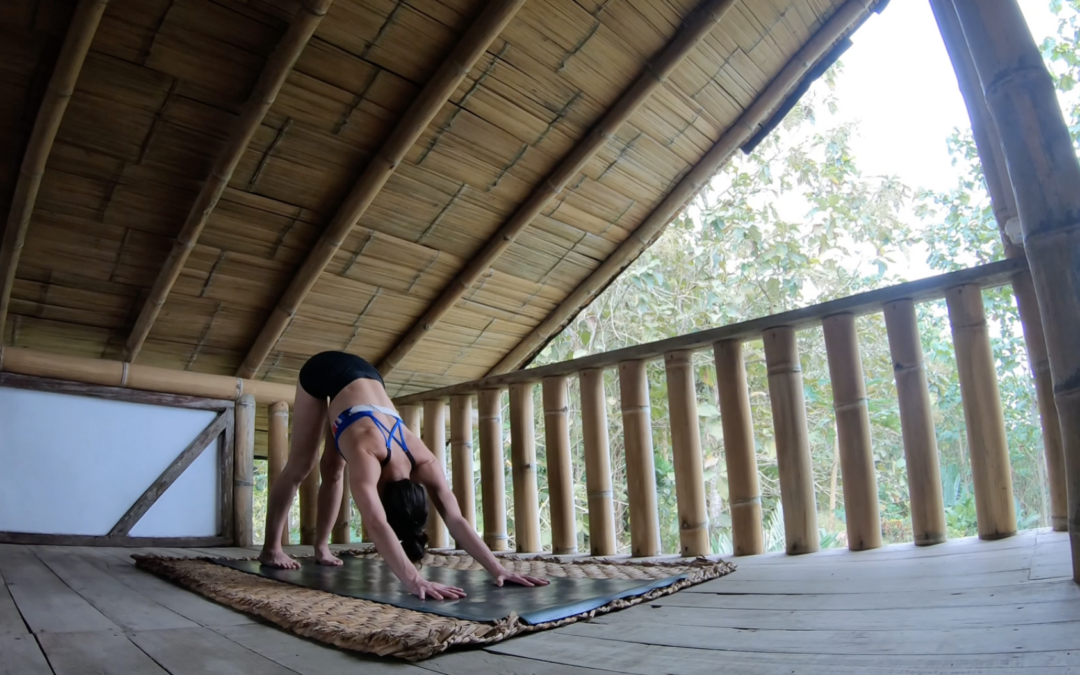 Vinyasa Yoga Mandala 40 min