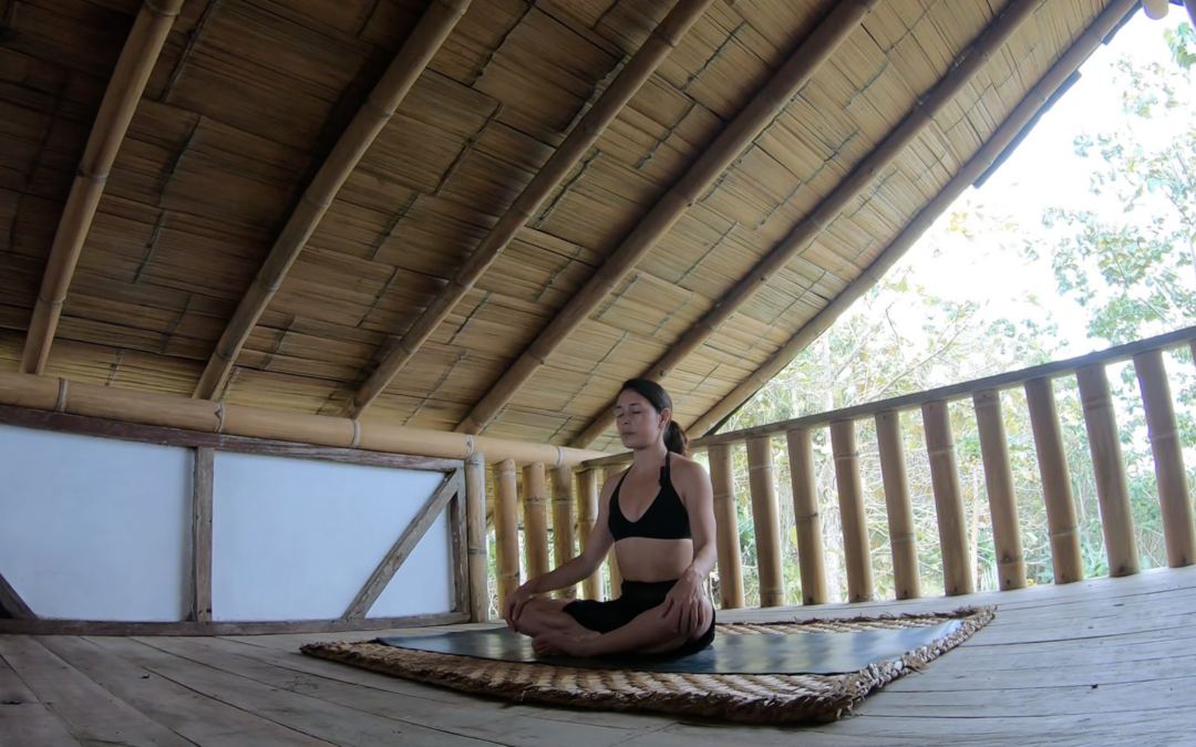 Meditación Bosque del Choco 12 min