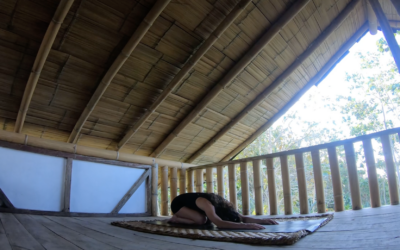 Vinyasa Yoga Liberando Estrés 20 min