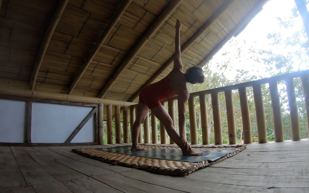 Vinyasa Yoga 360 en el Choco