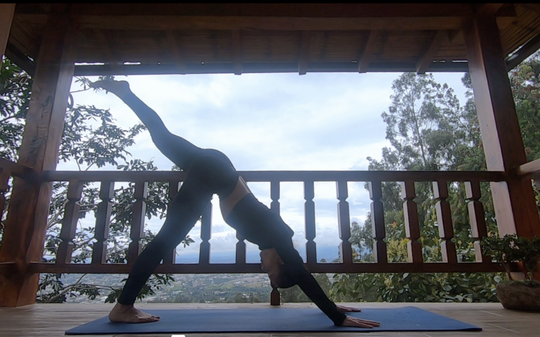 Vinyasa Yoga Movimiento 40 min