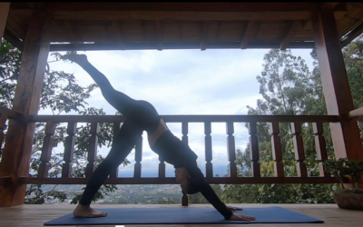 Vinyasa Yoga Movimiento 40 min